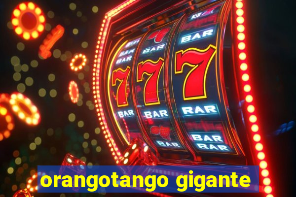 orangotango gigante